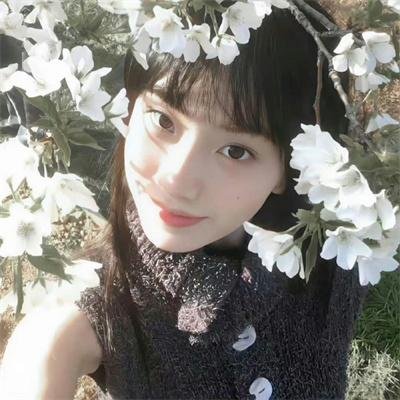 傲骨之战第六季